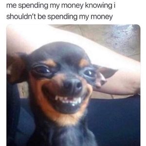 Meet your Posher, Ray